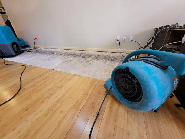 Professional Structural Drying technician working in Raisin City, CA